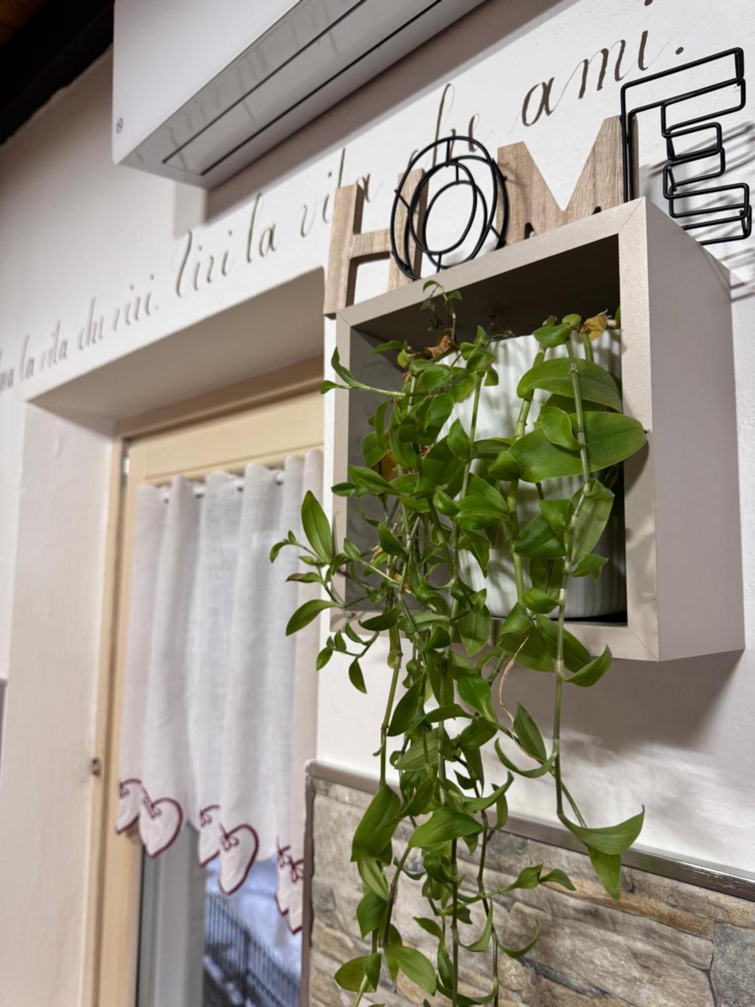 Residenze Vezza - Home Sweet Home- Vezza dʼOglio Exteriör bild